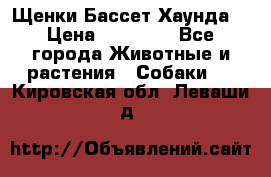 Щенки Бассет Хаунда  › Цена ­ 25 000 - Все города Животные и растения » Собаки   . Кировская обл.,Леваши д.